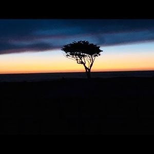 Meet your Posher, Marfa